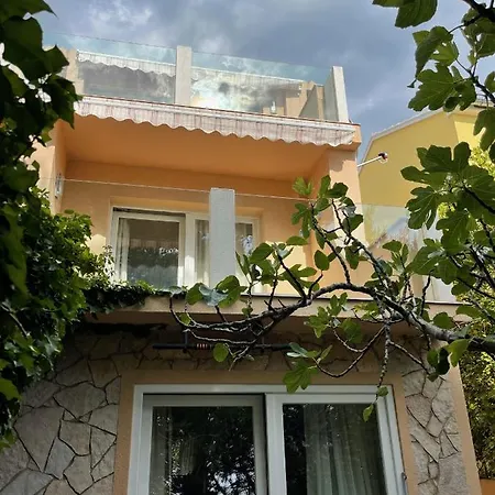 Paradise ז'אבוריץ'