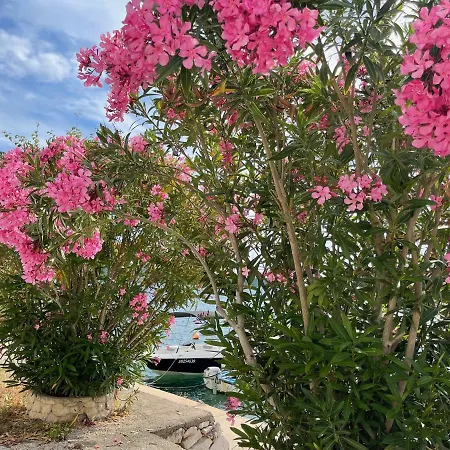 Paradise Apartment *